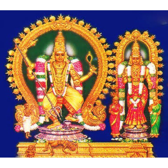 Jagannatha Perumal Temple – Andankoil (For Debt Relief)